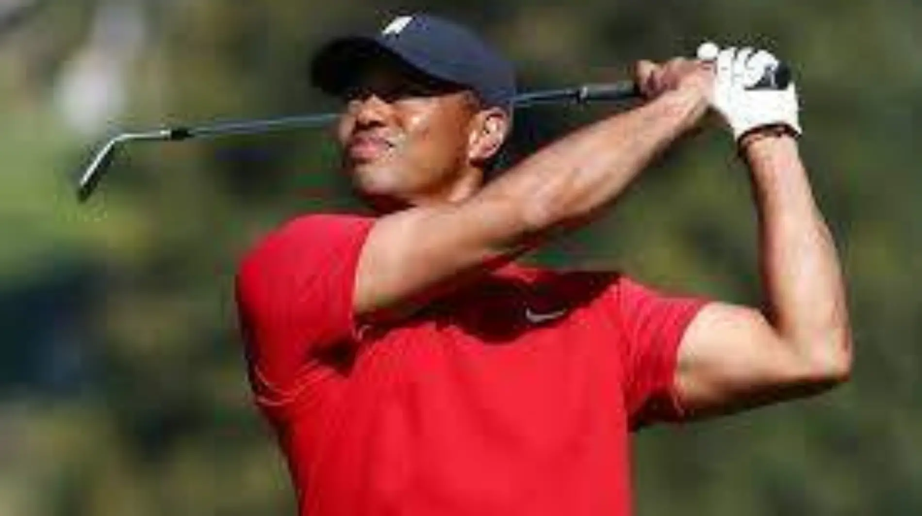 Tiger Woods